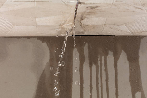 Professional Flood Damage Cleanup technician working in Briggsdale, CO